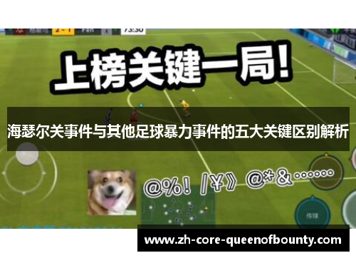 海瑟尔关事件与其他足球暴力事件的五大关键区别解析